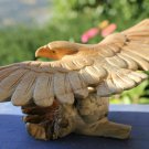 Eagle Parasite Mushroom Wood Carving Statue hand carved Bird of raptor Bali art
