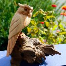 Wise Owl Perching Statue Bird Wood Carving Hand Carved Sculpture Bali art