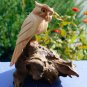 Wise Owl Perching Statue Bird Wood Carving Hand Carved Sculpture Bali art