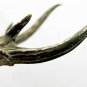 Old Deer Stag Altar Figure Hand Carved Teak Wood Indonesian folk art statue
