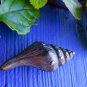 Sea shell Knob handle Drawer Pull Sea Life Nautical solid brass Balinese Art