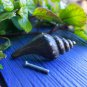 Sea shell Knob handle Drawer Pull Sea Life Nautical solid brass Balinese Art