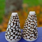 Seashell Salt & Pepper Shakers Natural Sea Shell Nautical Handcrafted Bali art Seashell Salt & Pepper Shakers Natural Sea Shell Nautical Handcrafted Bali art