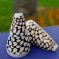 Seashell Salt & Pepper Shakers Natural Sea Shell Nautical Handcrafted Bali art
