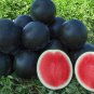 Rare Black Watermelon | High-Quality Tropical Fruits 20+Seeds for Smallholder Farmers  Free Shipping