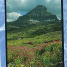 Mt. Reynolds Postcard, Montana, Rocky Mountains, Scenic, Continental Divide