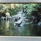 Jungle Cruise In Disneyland 25MM Slide Theme Park California