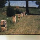 Stone Fence Posts Of Kansas 1970s Original 35MM Film Slide