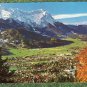Full - Color German Scenic View Postcard For Mailing Collecting Postcrossing Town
