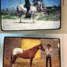 Horses Collection Of Vintage Photo Slides Arabians & Appaloosas 1970s 35MM