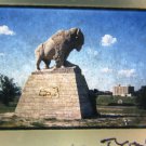 Bison / Buffalo Statue At Fort Hays, Kansas, Landmark Film Slide