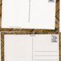 The Alamo Postcards Outdoor & Interior Views Famous Texas Landmark San Antonio