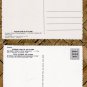 The Alamo Postcards Outdoor & Interior Views Famous Texas Landmark San Antonio