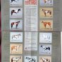 American Paint Horse Colors & Patterns RARE Full - Color Chart, Equine Vintage