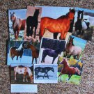 Collection Of Horse Pictures Vtg Spanish Musstangs At Liberty Magazine Clippings