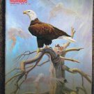 Arizona Highways Birds Artwork Feb 1979 Issue Eagles Hwks Owls Raptors