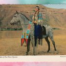 Nez Perce Indian Woman On Horseback Postcard Colorful Parade Regalia Idaho