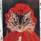 Cat In Red Riding Hood Costume Antique Postcard Anthropomophic Fantasy Ca. 1908 Cat In Red Riding Hood Costume Antique Postcard Anthropomophic Fantasy Ca. 1908
