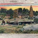 New York Zoological Park Postcard African Plain With Zebras Impala Hoofed Mammals New York Zoological Park Postcard African Plain With Zebras Impala Hoofed Mammals