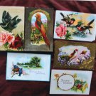 Antique Postcards With Birds & Flowers Embossed Insets Colorful Scenes Nature