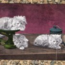 Three Kittens On Table Top Early Postcard Antique Fluffy Cats With String Grey Felines Three Kittens On Table Top Early Postcard Antique Fluffy Cats With String Grey Felines