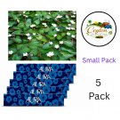 AURA Incense sticks WATER SNOWFIAKE (KUMUDU) fragrance 5 pack,, (small pack) HIGH QUILITY ) AURA Incense sticks WATER SNOWFIAKE (KUMUDU) fragrance 5 pack,, (small pack) HIGH QUILITY )