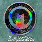 Sticker - Warehouse - Black Cat Changing Colors - DMB inspired - 3"