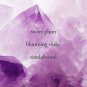 Rare Amethyst Eau de Parfum Spray 1.7 Oz.