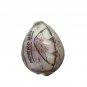 Handcrafted Morro Bay Souvenir Polished Cowrie Shell Engraved Nautical Scene