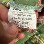 Green Floral Maxi Dress With Drawstring Waist & Lace Trim Sleeves By Zoya Size 2