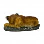 Lion Cub & Tortoise Masterpiece Porcelain Figurine Homco 1985 Handpainted Decor
