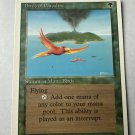 Birds of Paradise Revised Edition Regular