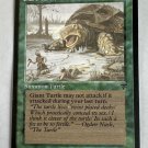 Giant Turtle Legends Regular