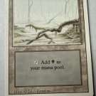 Swamp (A) Revised Edition Regular