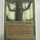 Ironroot Treefolk Revised Edition Regular