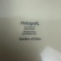 Pfaltzgraff Garden Of Eden Green Gradient Dinner Plate