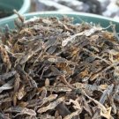 Premium Dried House Lizards Exotic Reptile Pet Food - 250g