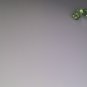 Eye Clean, High Clarity (No Imperfections, Facet Grade) Raw Mint Green Tourmaline Crystals