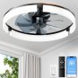 Ceiling Fans with Lights and Remote 20 Inch, 3200LM LED & 6-Speed Fan