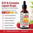 B12 B Complex Liquid Drops 5000mcg Sublingual Raspberry Vegan 2 fI oz