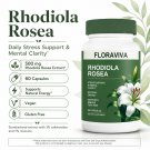 Rhodiola Rosea Supplement 500mg Stress Support Mental Clarity 60 Capsules