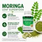 Moringa Oleifera Capsules 1200mg Leaf Supplement Vegan Non-GMO 90 Count