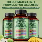 24-in-1 Soursop Shilajit Sea Moss Lion's Mane - Antioxidants, Joint, Skin Health 24-in-1 Soursop Shilajit Sea Moss Lion's Mane - Antioxidants, Joint, Skin Health