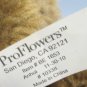ProFlowers 8" Brown Plush Teddy Bear with Red Satin Bowtie - Vintage Condition