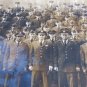 Vintage 1959 US Army Photo - 565th Quartermaster Co. Unit Day Celebration