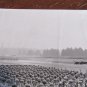Vintage 1960s U.S. Army Jet Pack Flight Photo &acirc;�� Bell Rocket Belt Demonstration