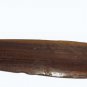 Vintage Wooden Bullroarer Aboriginal Style Carved Painted Ritual Instrument w/ C