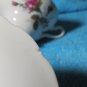 Vintage Moss Rose Porcelain Teacup and Saucer Set - Japan - Flaw