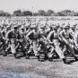 Vintage Military Drill "Pass in Review" Black & White Photograph (8" x 10")