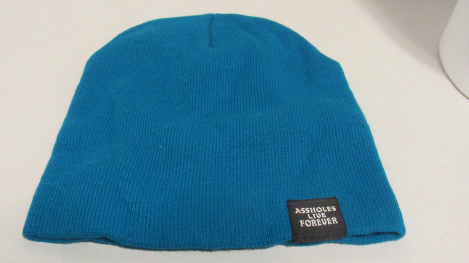 Teal Beanie Humor Saying Stocking Cap Unisex Cap ***holes Live Forever Beanie